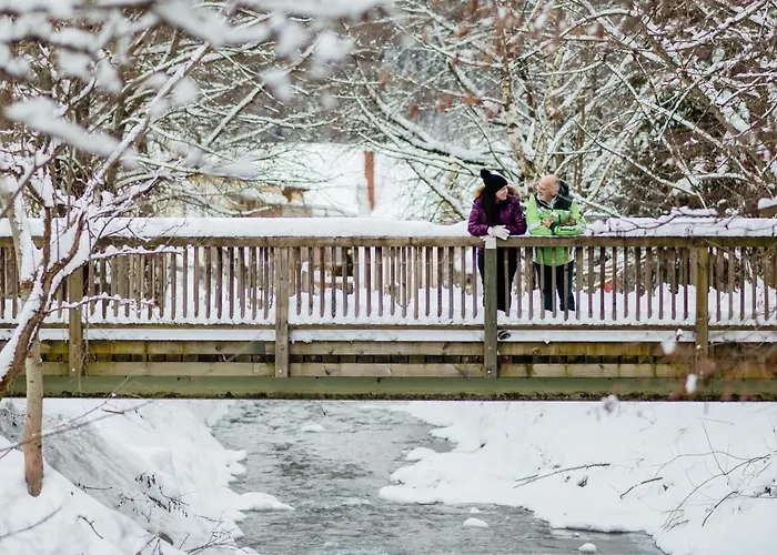 Gesundheits- & Wellness فندق